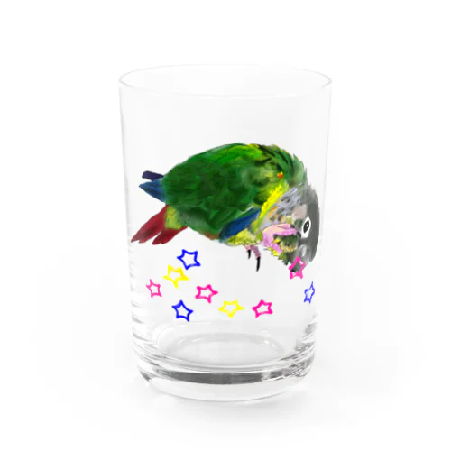 ウロコインコと☆ Water Glass