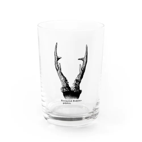 鹿の角 Water Glass