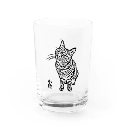 #キジトラ#こつぶ#はんこ Water Glass