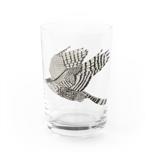 クマタカ Water Glass