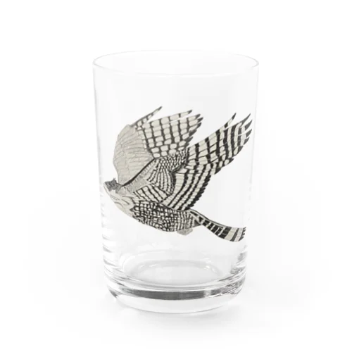 クマタカ Water Glass