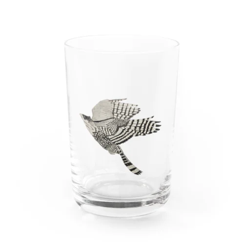 クマタカ_A Water Glass