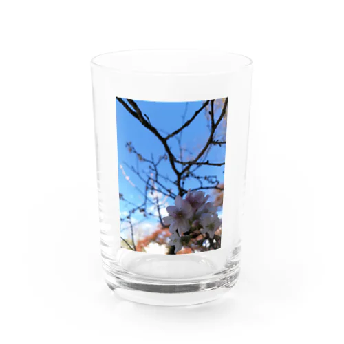 自然の美 Water Glass