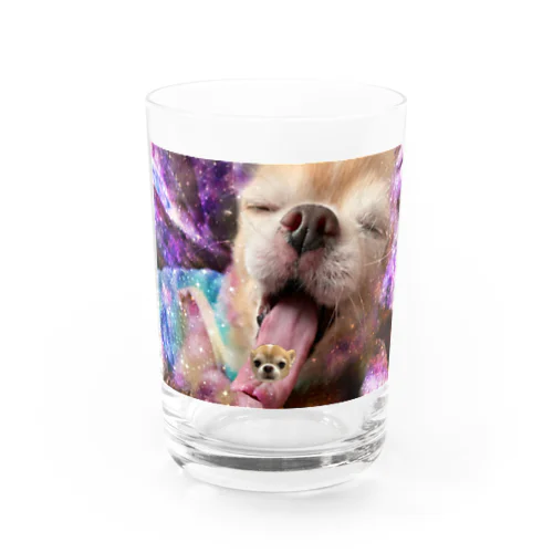 犬　宇宙での覚醒 Water Glass