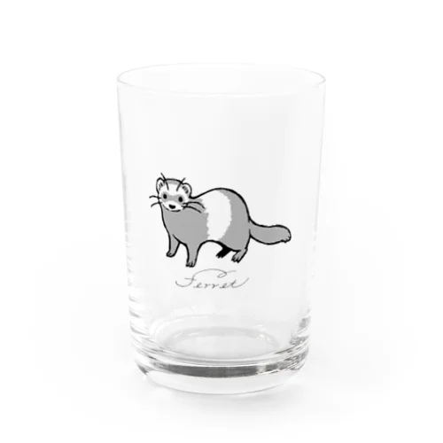 Ferret-Standard グラス