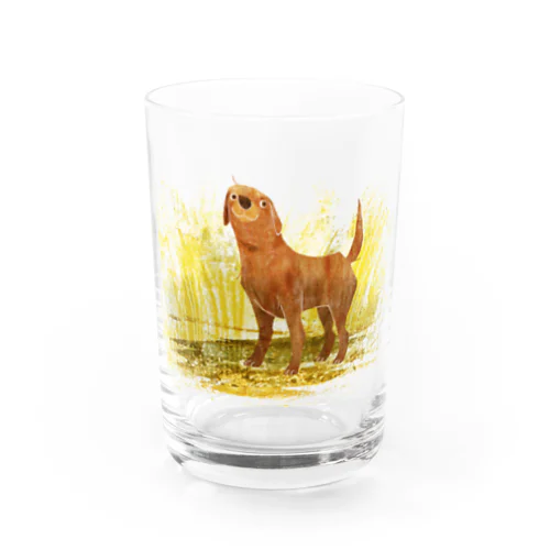 LABRADOR the best dog Water Glass