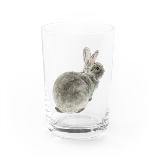 レッキスしり Water Glass