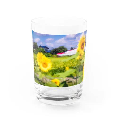 ひまわりとこまち（JR東日本） Water Glass