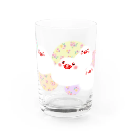 もちもち文鳥ず Water Glass