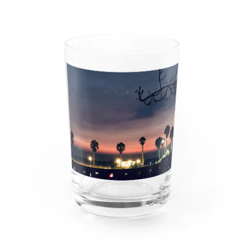Santa Monica Twilight  Water Glass