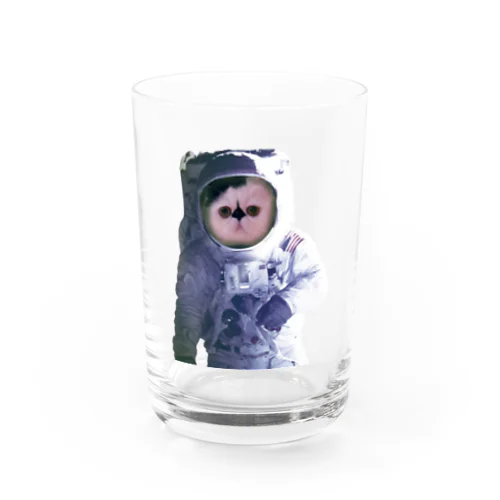 愛猫ボムは宇宙飛行士になった Water Glass