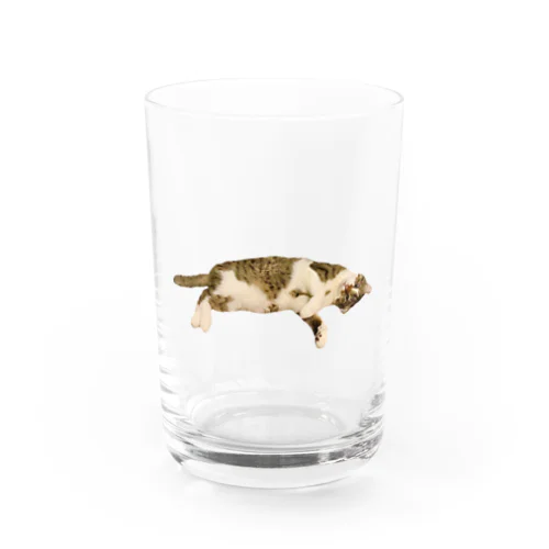 猫のさん君 Water Glass