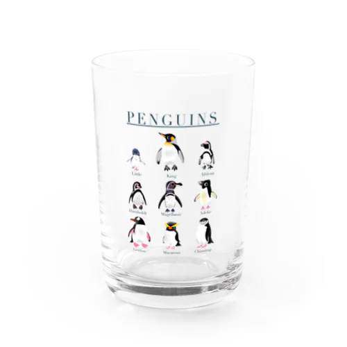 ペンギンズ グラス