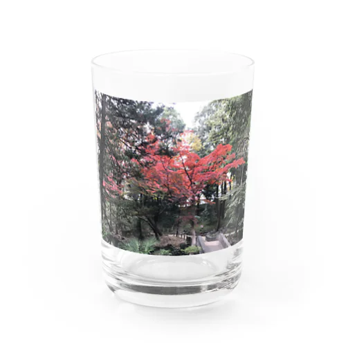 紅葉気分 Water Glass