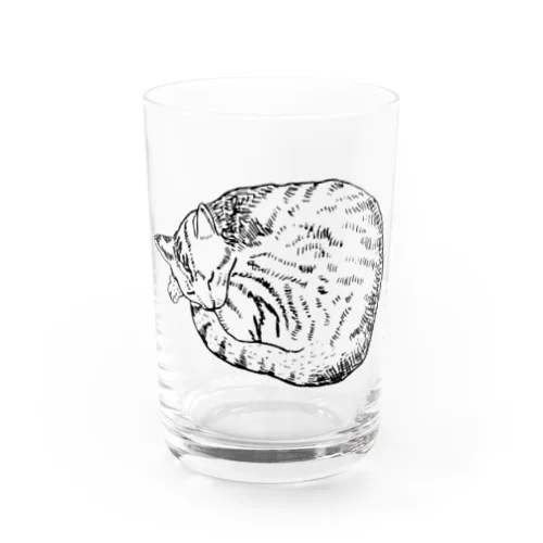 丸まった猫 Water Glass