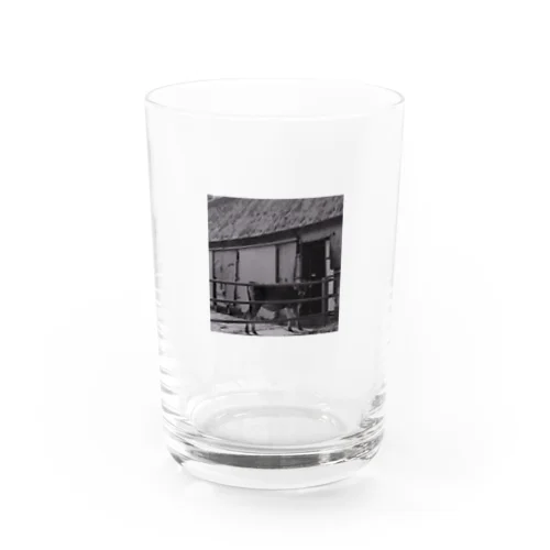 The Calf's Eye Water Glass