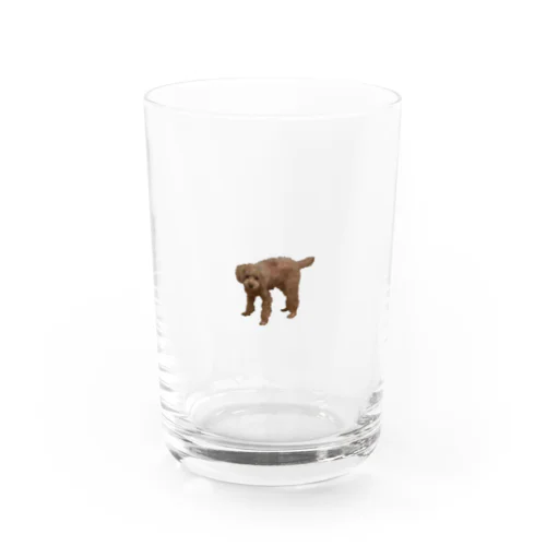 熊似犬 Water Glass