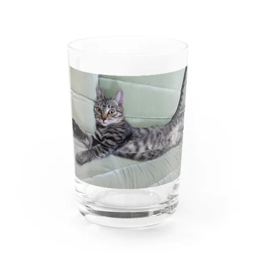 ねこちゃん Water Glass