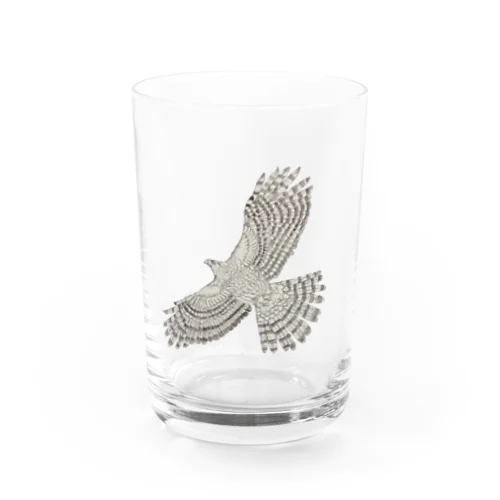 クーパーハイタカ Water Glass