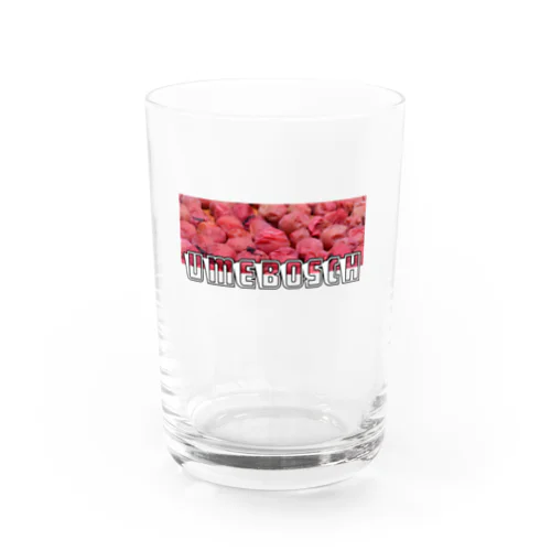 UMEBOSCH Water Glass