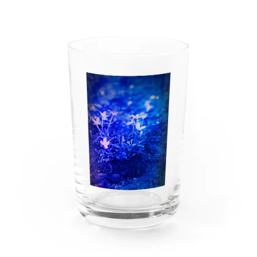 幸運の青い花💙💙💙 Water Glass