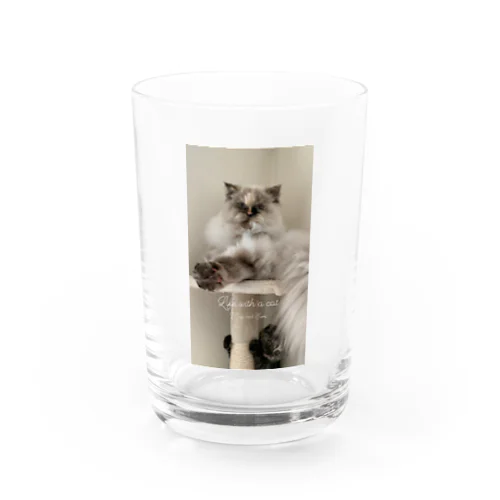 Mugisumi Water Glass