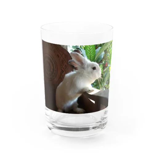 うさぎさん Water Glass