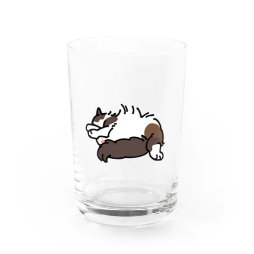 fofu Water Glass