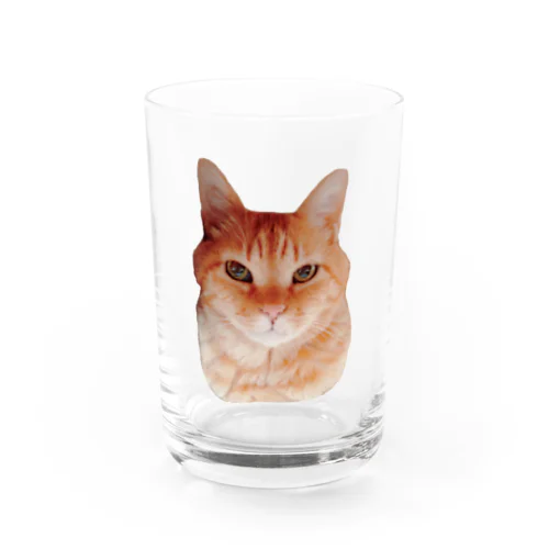 茶トラ猫グラス グラス