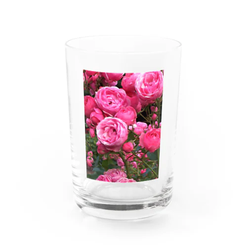 薔薇色の人生 グラス