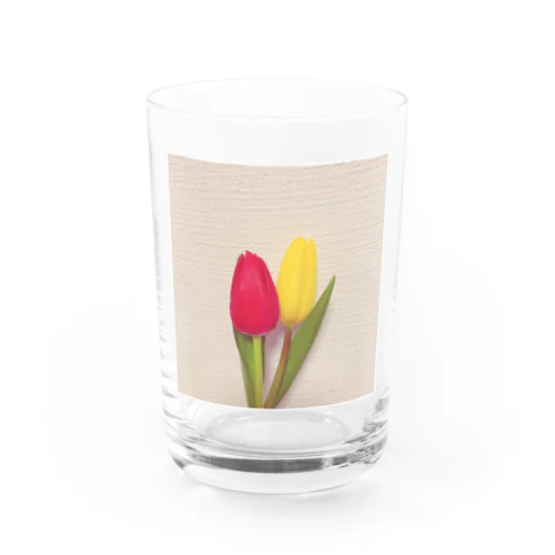 CHU-RIPP Water Glass