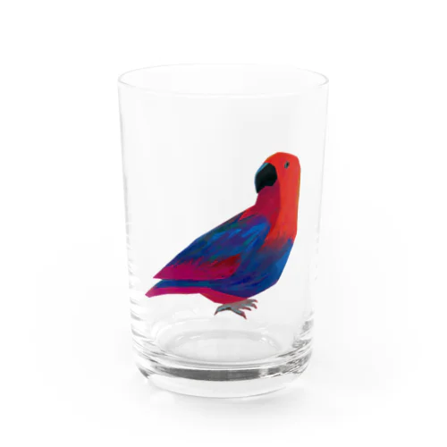 オオハナインコ Water Glass