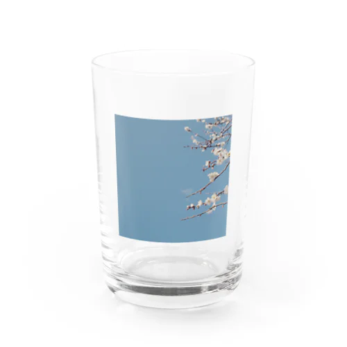 ume01 Water Glass