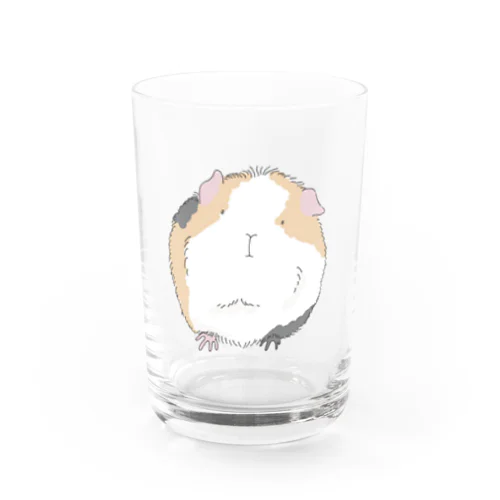 もっふもふDXモルモット Water Glass