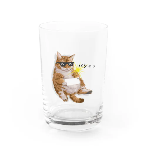 撮影する猫 Water Glass