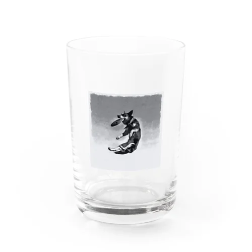 ディスクドッグ。犬。Disc dog。 Water Glass