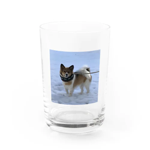 雪とむぎ∪･ω･∪ Water Glass