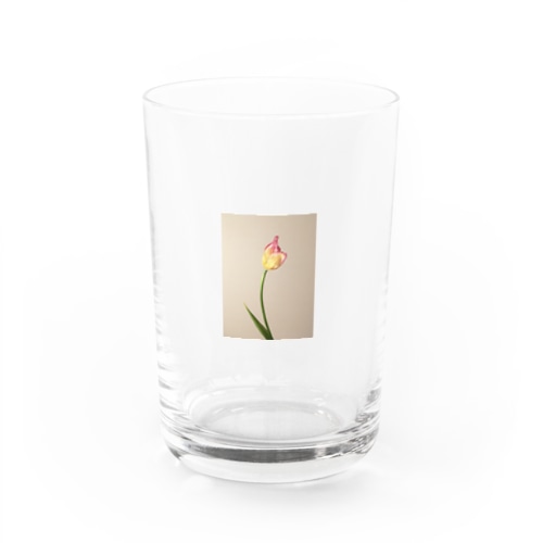 pink/yellow tulip  Water Glass