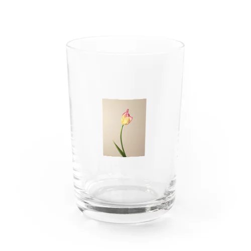 pink/yellow tulip  Water Glass