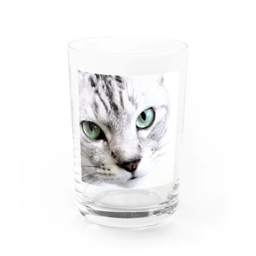 CAT FACE JOKI Water Glass