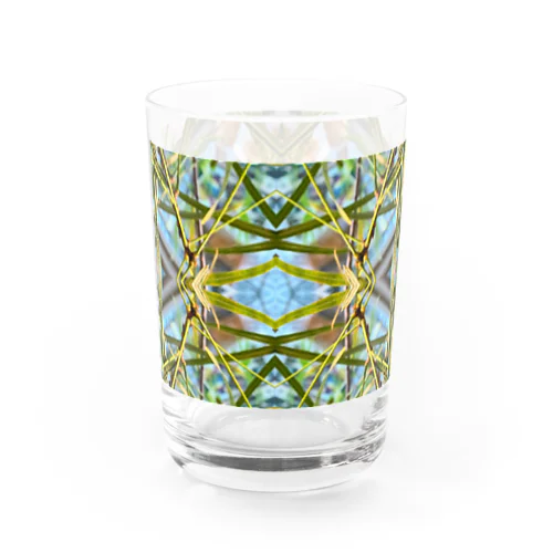 Geometric pattern　観葉植物 Water Glass