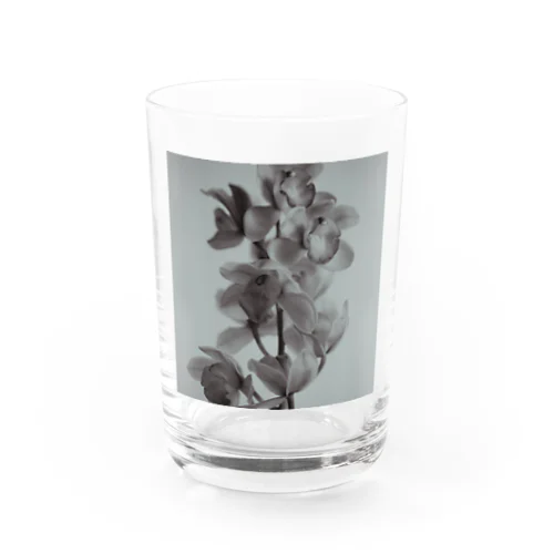 命の標本 Water Glass