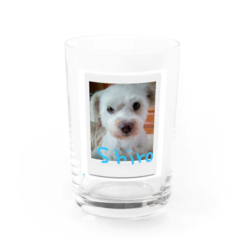 しろたん Water Glass