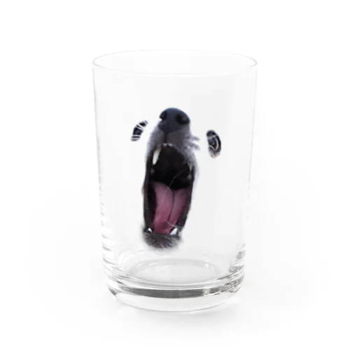犬&同化 Water Glass
