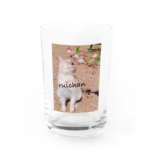 ruichan Water Glass