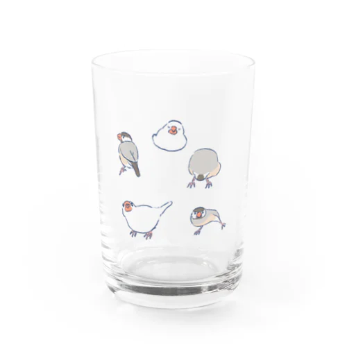 いろんな文鳥 Water Glass