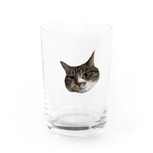 キジ白ミィの顔ドアップグラス Water Glass