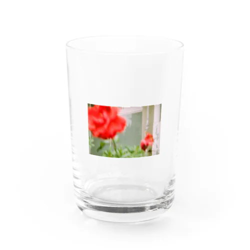 赤い花 Water Glass