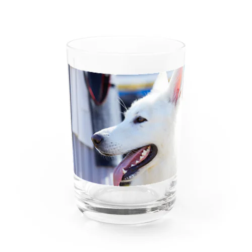 はうはうちゃん Water Glass