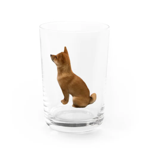 忠犬おあげなのよ Water Glass